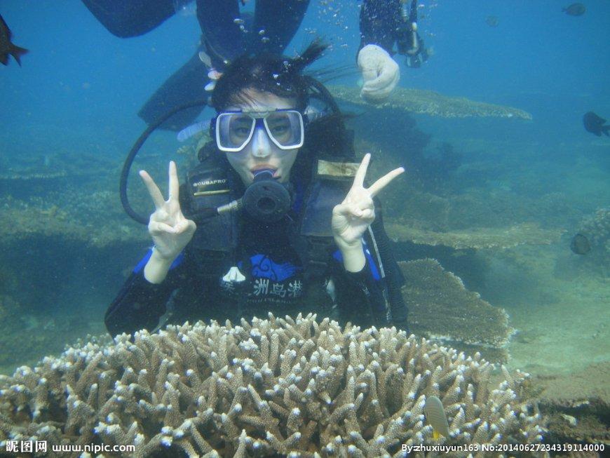 逃出白海豹洞